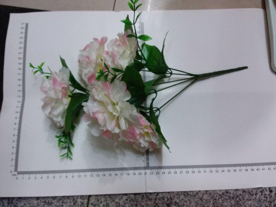FLOR X5 01