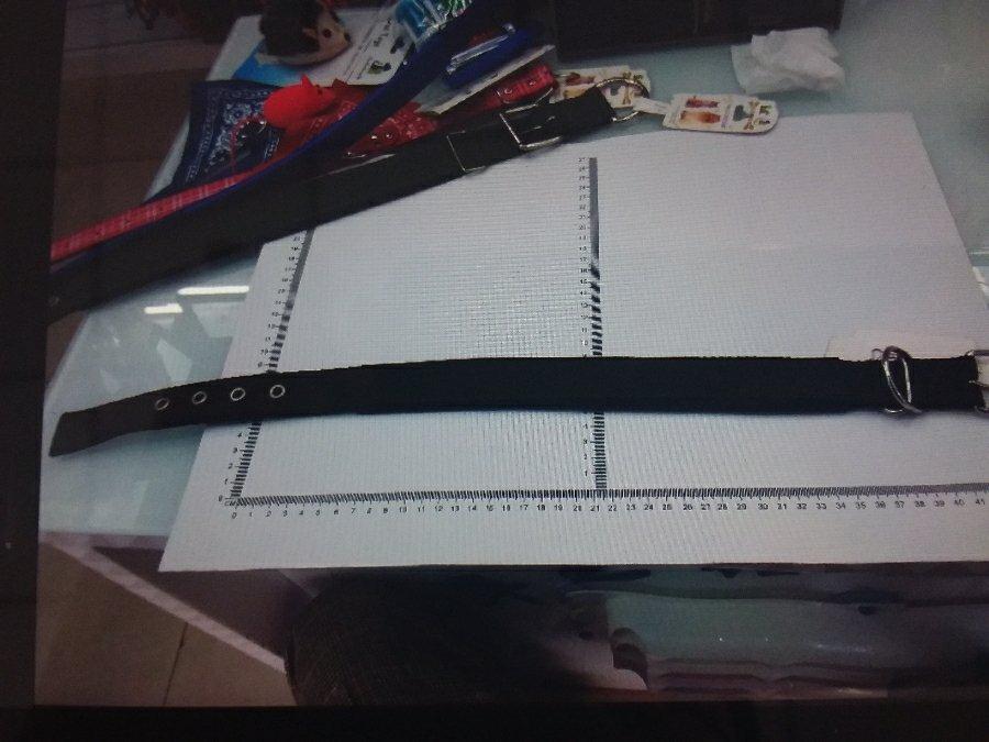 COLLAR 2.5CM