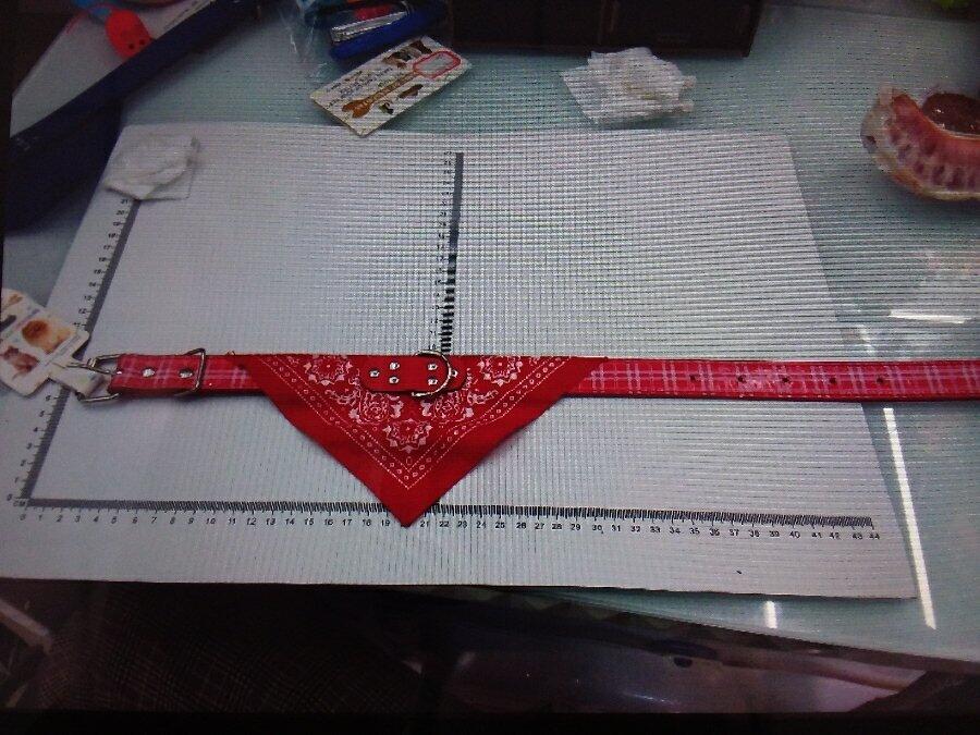 COLLAR 2.5CM