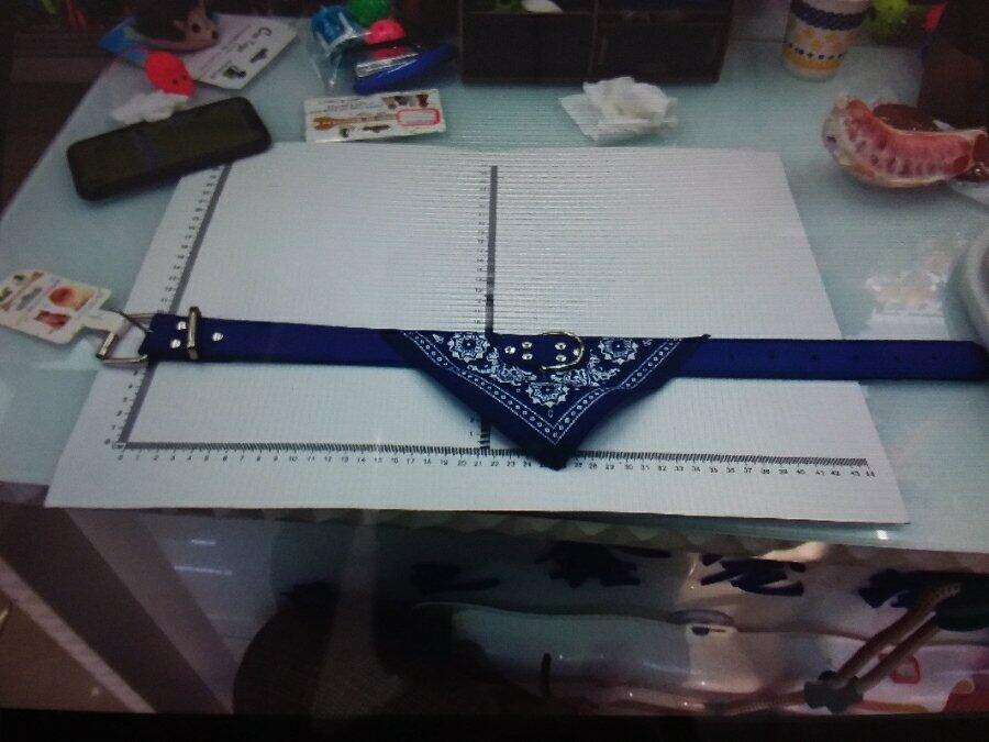 COLLAR 3CM